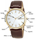 Basic watch diagram 1.jpg
