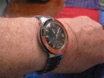 OLD.TIMEX.DIVER.FROM.TONY_008.jpg